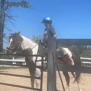 Meet your Posher, Tabby